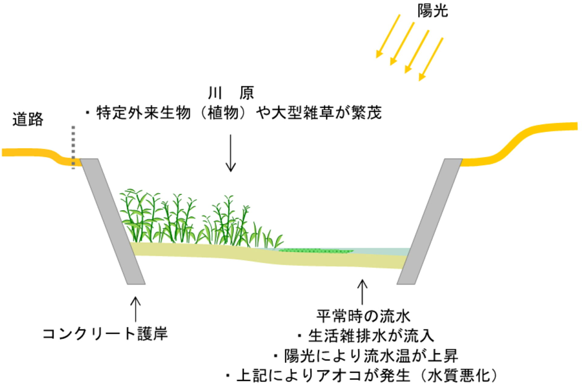 郷土の里川の現況